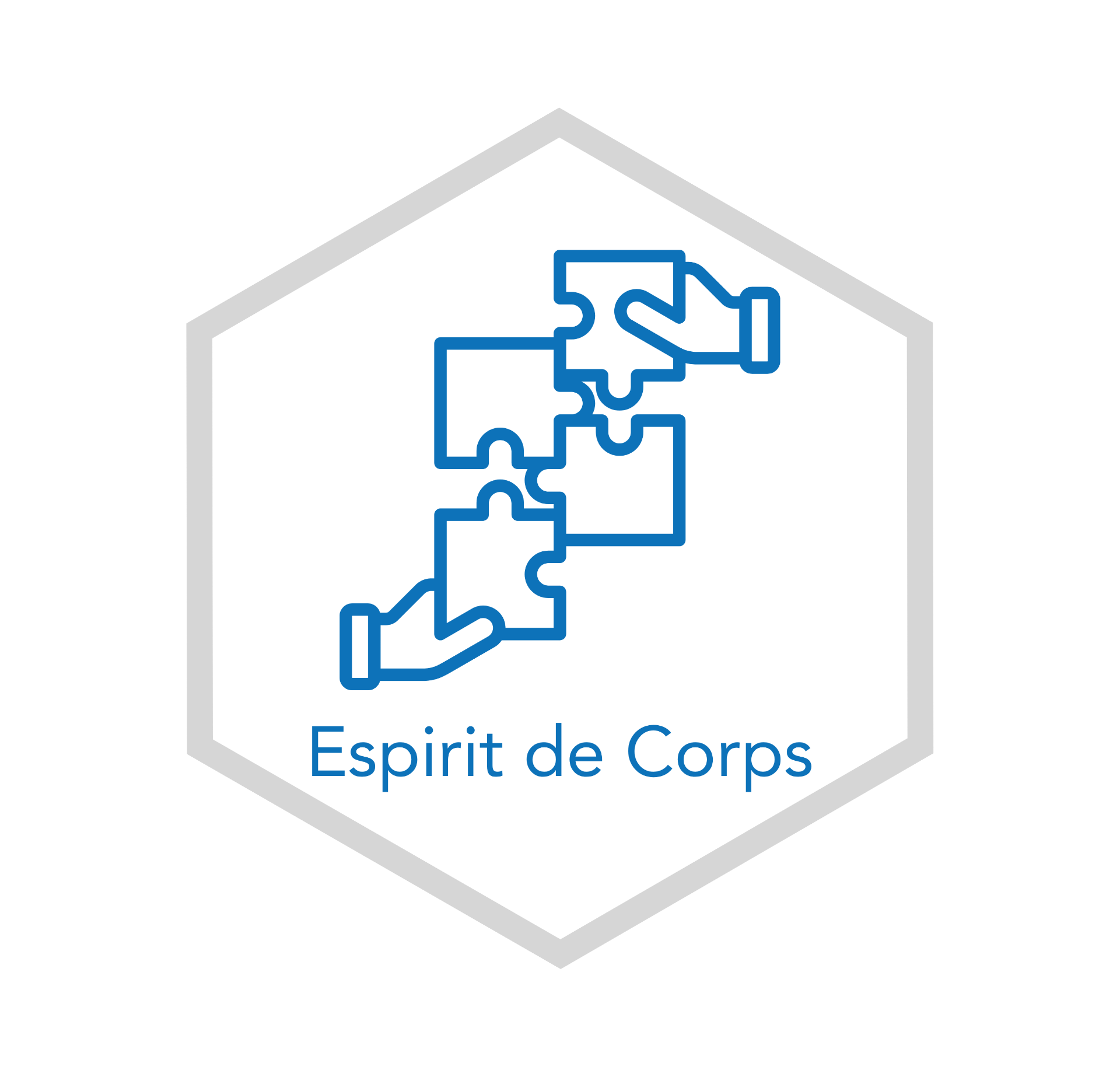 Esprit de Corps