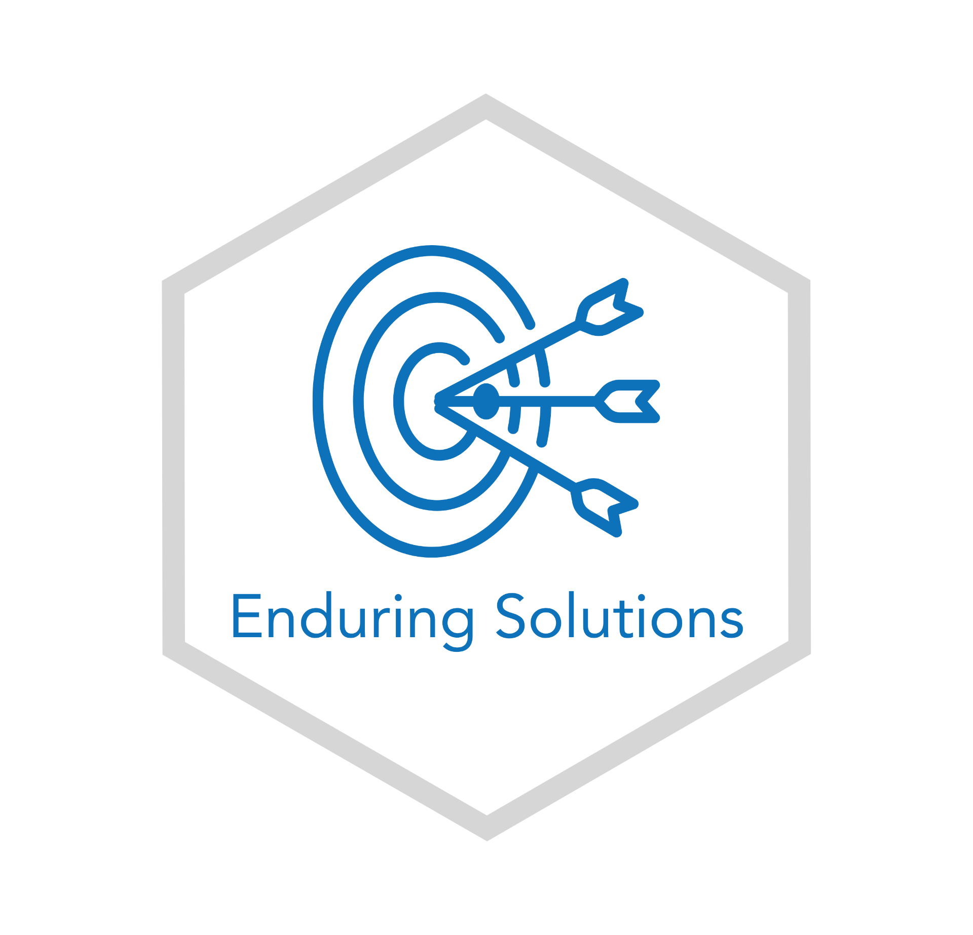 Enduring Solutions