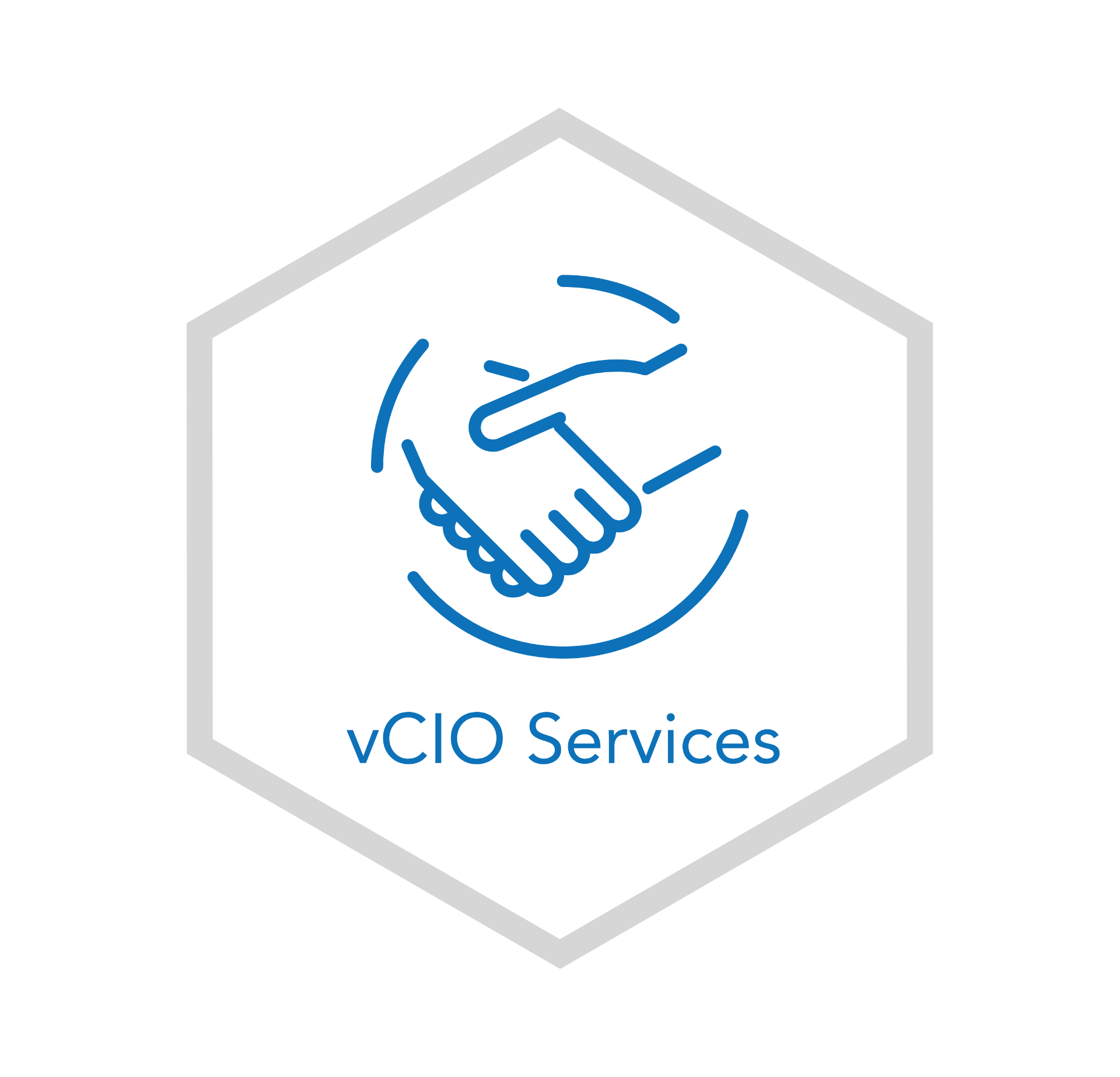 vCIO & Strategy